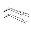 Gills-Colibri Forceps