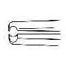 Hoskin Corneal Forceps