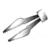 Vitreo-Retinal Forcep